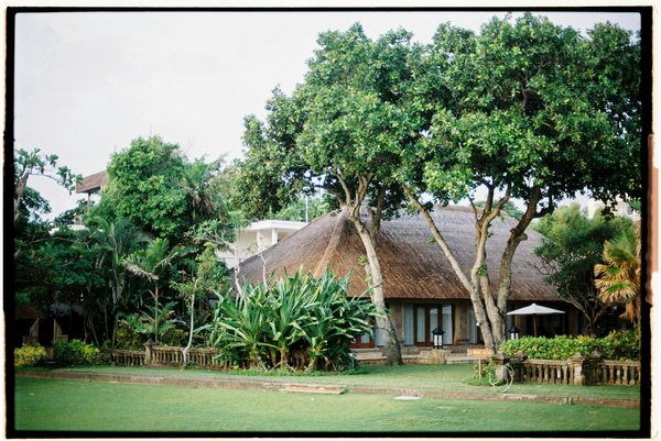 Découvrir la Provence : Guide complet pour des vacances réussies