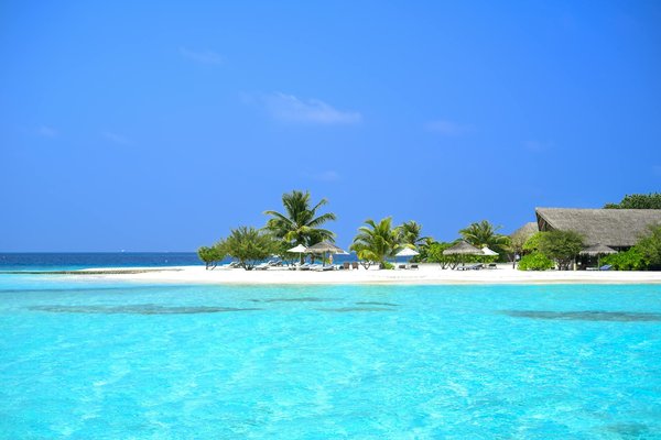 Choisir le voilier idéal : types, caractéristiques et conseils